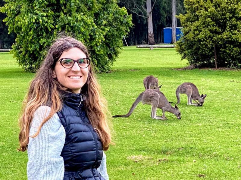 WILD Wombats and Kangaroo Experience, All Inclusive, Sydney - In-Depth Breakdown of the Day