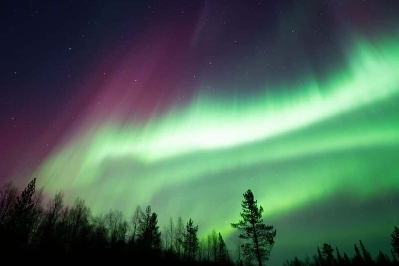 Wilderness Adventure by Snowmobile Sleigh - Exploring the Arctic Wilderness by Snowmobile Sleigh