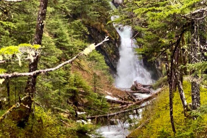 Wilderness and Wine Tasting out of Anchorage - Who Will Love This Tour?