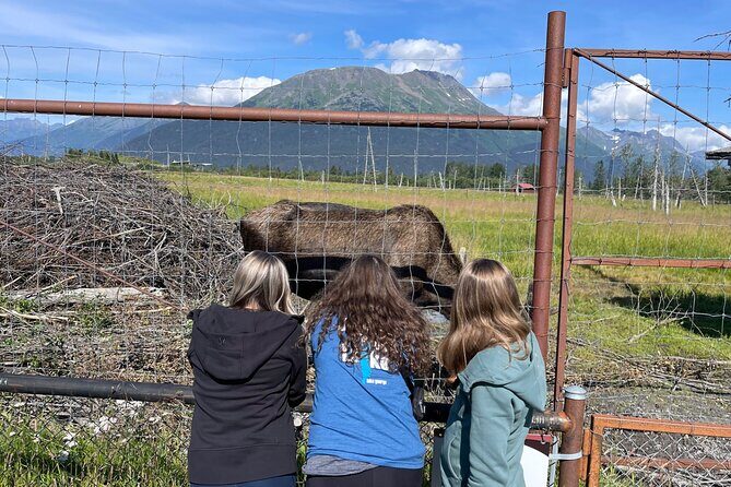 Wilderness and Wine Tasting out of Anchorage - The Sum Up