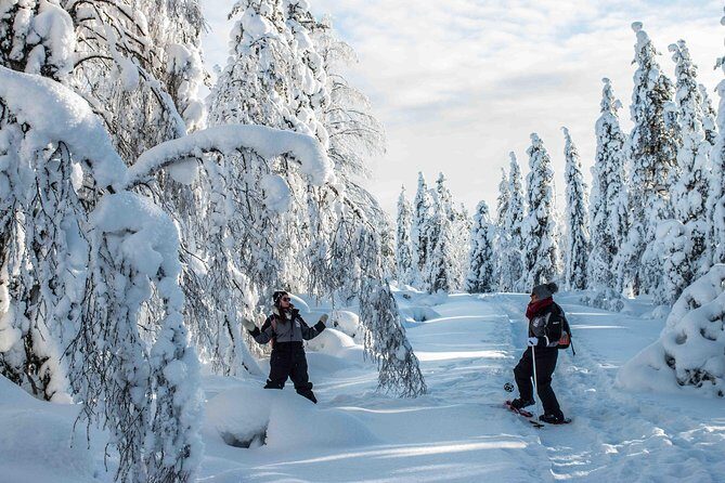 Wilderness snowshoe adventure - The Experience From Real Travelers