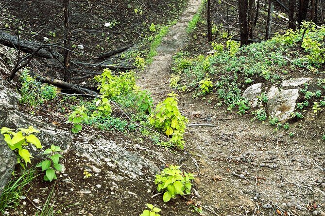 Wildfire Peak Nic - FAQs