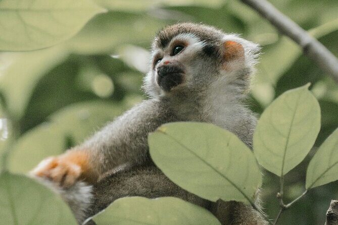 Wildlife and Ancient Expedition Tour in Teotihuacan Safari - Who Will Enjoy This Tour?