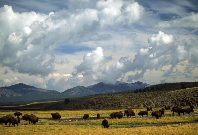 Wildlife and Waterfalls - What to Expect from the Wildlife and Waterfalls Tour