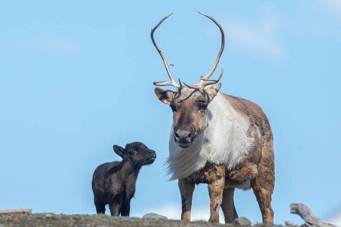 Wildlife Center with Lunch & Local Beer Sampling - Winter&Summer - Final Thoughts