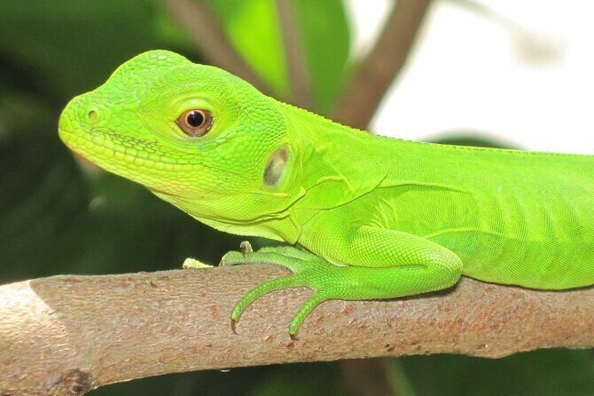 Wildlife Eco Tour on the coast of Oaxaca. - The Experience in Detail