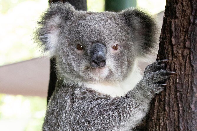 Wildlife Habitat Port Douglas - Final Thoughts