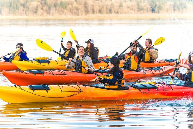 Wildlife Kayak Tour at Fort Flagler State Park - Practical Tips for Your Kayak Adventure