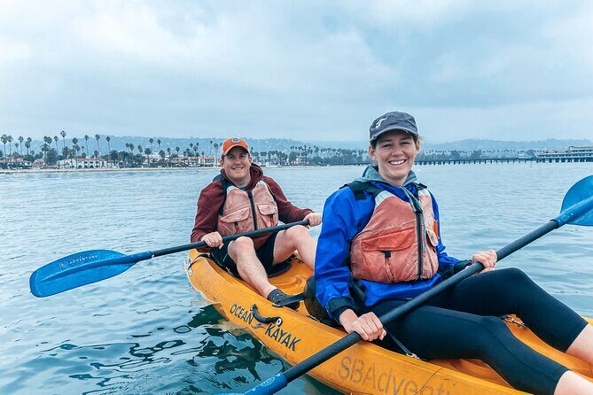 Wildlife Kayak Tour in Santa Barbara Harbor (2 Hours) - Key Points