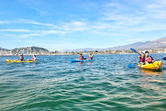 Wildlife Kayak Tour in Santa Barbara Harbor (2 Hours) - Who Should Consider This Tour?