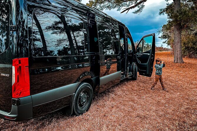 Wildlife Photo Safari - Wildlife Photo Safari: A Close-Up Look