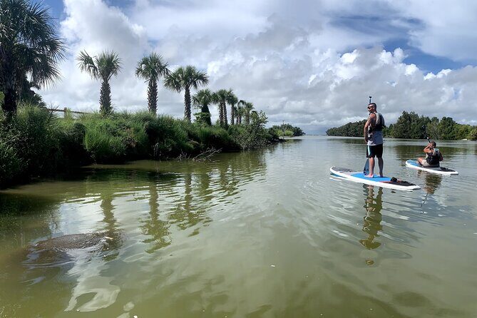 Wildlife Refuge Dolphin, Manatee & Mangrove Kayak or Paddleboarding Tour! - Wildlife Refuge Dolphin, Manatee & Mangrove Kayak or Paddleboarding Tour!