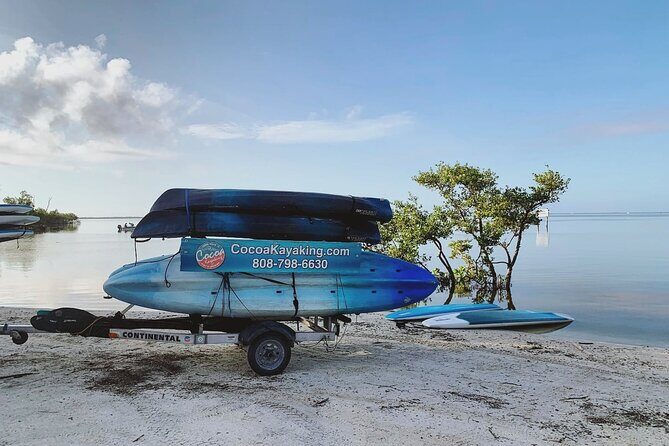 Wildlife Refuge Dolphin, Manatee & Mangrove Kayak or Paddleboarding Tour! - Key Points
