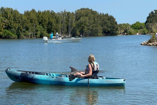 Wildlife Refuge Dolphin, Manatee & Mangrove Kayak or Paddleboarding Tour! - Wildlife to Expect and the Best Viewing Opportunities
