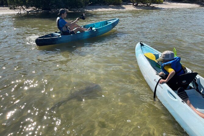 Wildlife Refuge Dolphin, Manatee & Mangrove Kayak or Paddleboarding Tour! - Practical Details: What to Know Before You Go