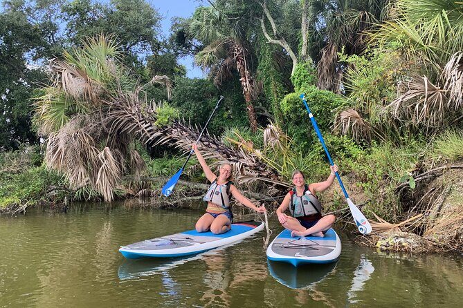 Wildlife Refuge Dolphin, Manatee & Mangrove Kayak or Paddleboarding Tour! - The Value and Who Should Consider This Tour