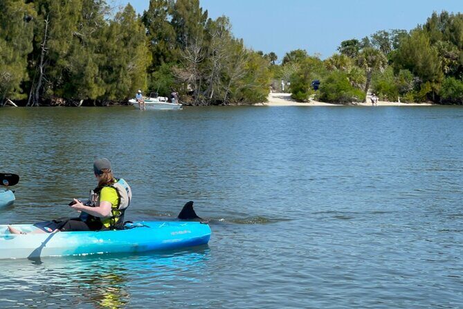Wildlife Refuge Dolphin, Manatee & Mangrove Kayak or Paddleboarding Tour! - The Sum Up