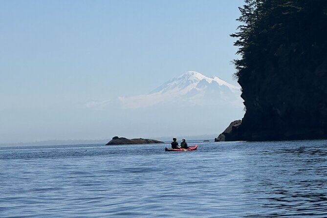 Wildlife Spotting Kayak Adventure on Orcas Island - Who Will Love This Tour?