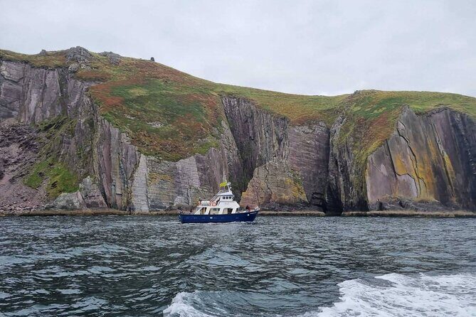 Wildlife Tour - A Deep Dive into the Wildlife Tour Experience