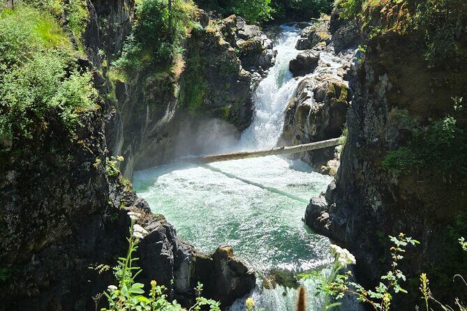 Wildlife, Waterfalls, Caves, Old Growth on Vancouver Island - Key Points