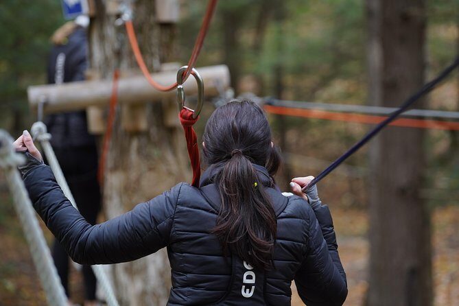 WildPlay Thacher - Classic Adventure Course - Key Points