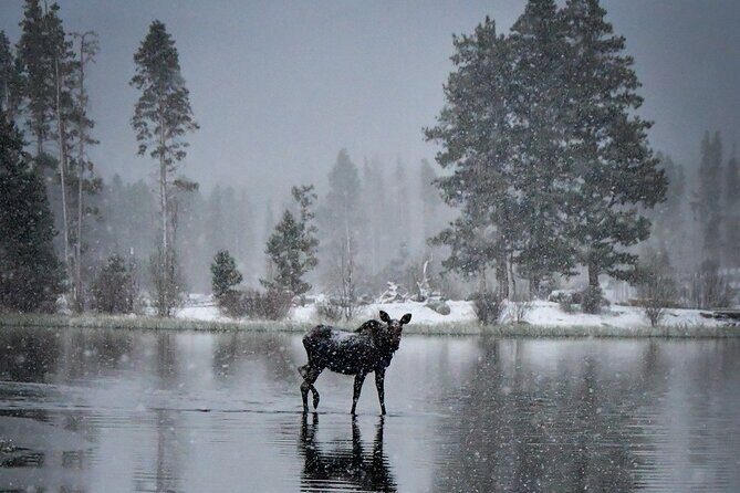 Wildside 4X4's Winter Wonderland Photo Tour - Exploring the Rocky Mountains in Winter: What You Can Expect