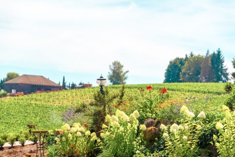 Willamette Valley Wine Tour - Transportation and Group Size