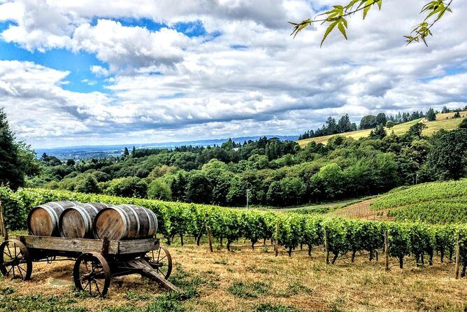 Willamette Valley Wine Tour - Full Day Tour - The Full Breakdown of the Experience