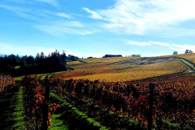 Willamette Valley Wine Tour with Lunch - FAQ