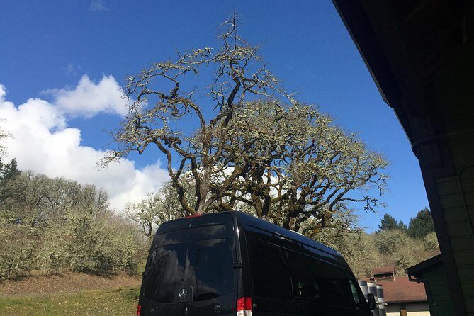 Willamette Valley Wine & Whisky - Who Should Consider This Tour?