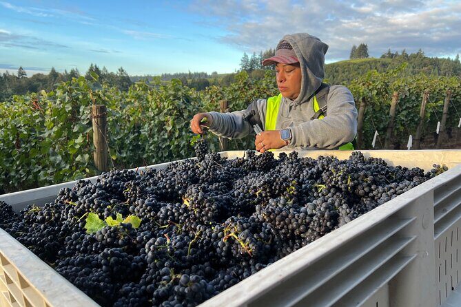 Willamette Wine Tour from Newberg (Tasting Fees Included) - FAQ