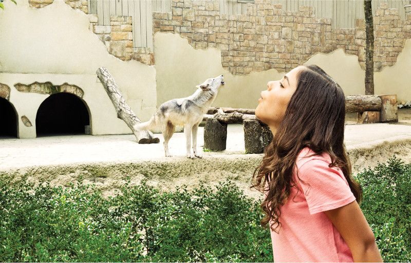 Williamsburg: Busch Gardens Ticket & Water Country Option - Unlocking the Experience: What You Can Expect