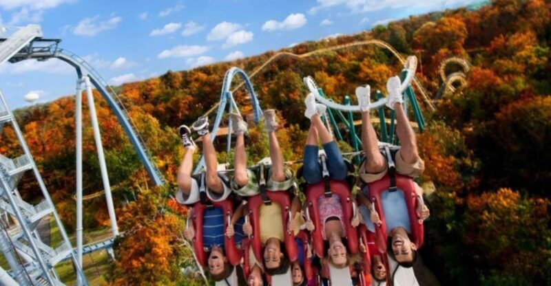 Williamsburg: Busch Gardens Ticket & Water Country Option - Who Is This Experience Best For?