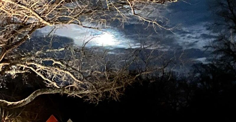 Williamsburg: Dead of Night Paranormal investigations Tour - What to Expect on the Williamsburg: Dead of Night Paranormal Investigations Tour