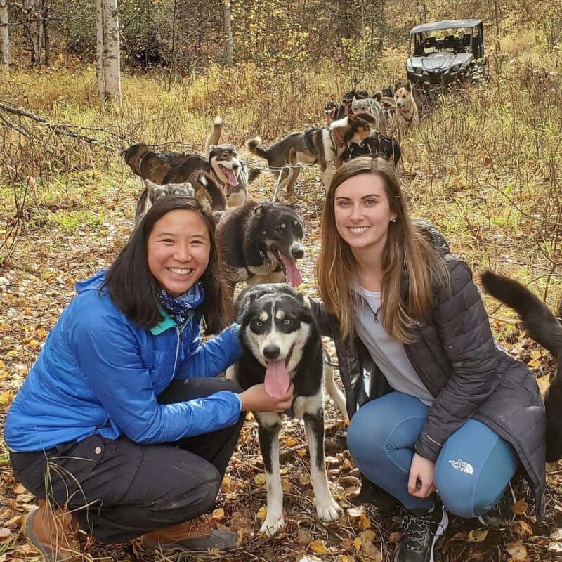 Willow: Fall Dog Sled Adventure - An Introduction to Willow’s Fall Dog Sled Adventure