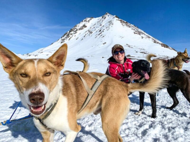 Willow: Traditional Alaskan Dog Sledding Ride - How the Experience Starts
