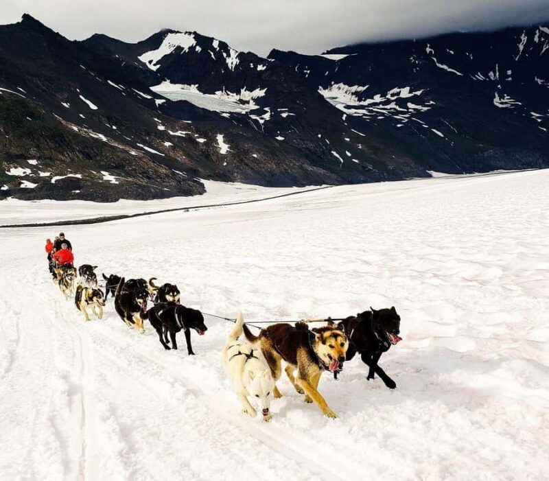 Willow: Winter Dog Sledding Adventure - Key Points