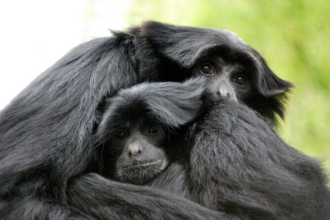 Willowbank Wildlife Reserve Day Entry - FAQ