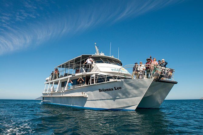 Wilsons Prom Whale Cruise - An In-Depth Look at the Wilsons Prom Whale Cruise Experience