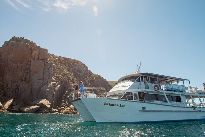 Wilsons Prom Whale Cruise - Final Thoughts: Is It Worth It?