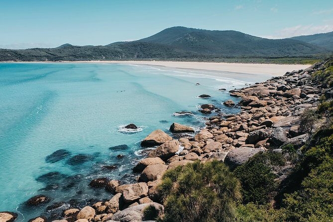 Wilsons Promontory Hiking Day Tour - 8 Person Max Small Group - The Itinerary Breakdown: What to Expect