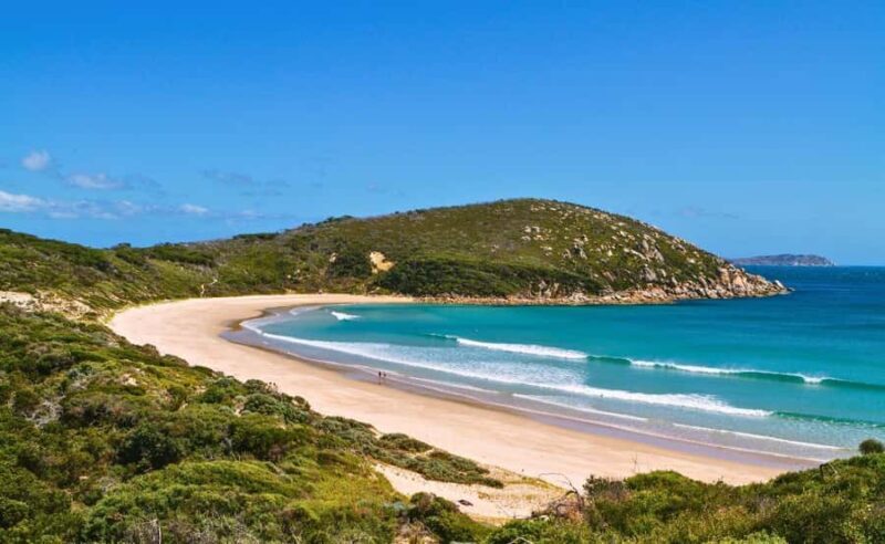 Wilson's Promontory National Park Eco Tour From Melbourne - FAQ