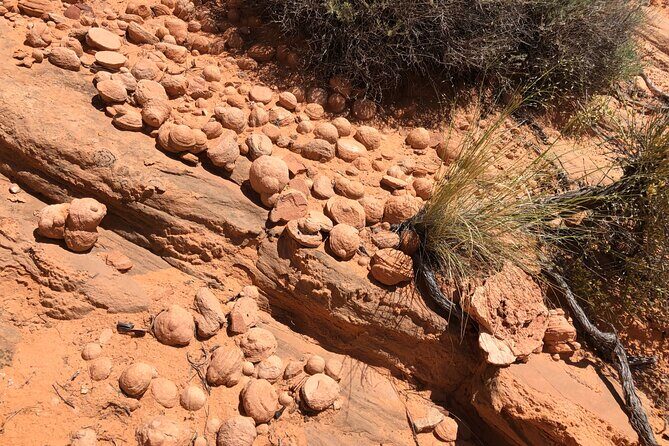 Wind Pebble Canyon Partial Hiking tour through Antelope Canyon - Key Points