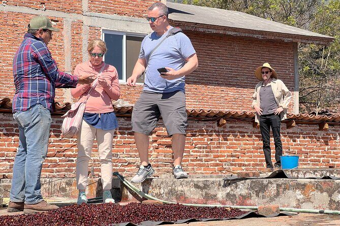 Wind TOUR: Mountains, Forests, Enigma Stones and Coffee Farms - A Detailed Look at the Wind TOUR Itinerary