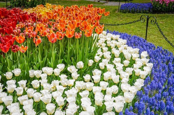 Windmill Island 1 Day Tour from Chicago | Kids 50% Off - An Honest Breakdown of the Windmill Island Tour