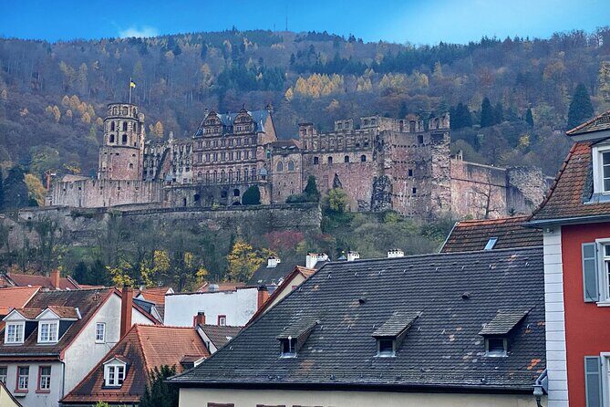 Wine along the Rhein - Half day Wine Tour from Mainz - Key Points