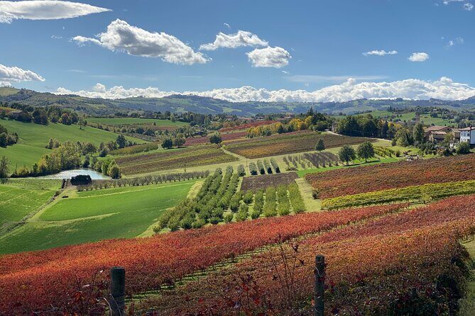 Wine and Balsamic Vinegar Tour with Tasting - What We Loved and What to Keep in Mind