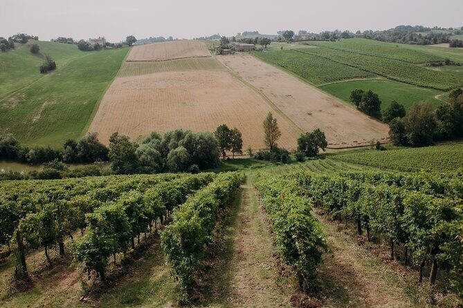 Wine and Balsamic Vinegar Tour with Tasting - Wrapping It Up