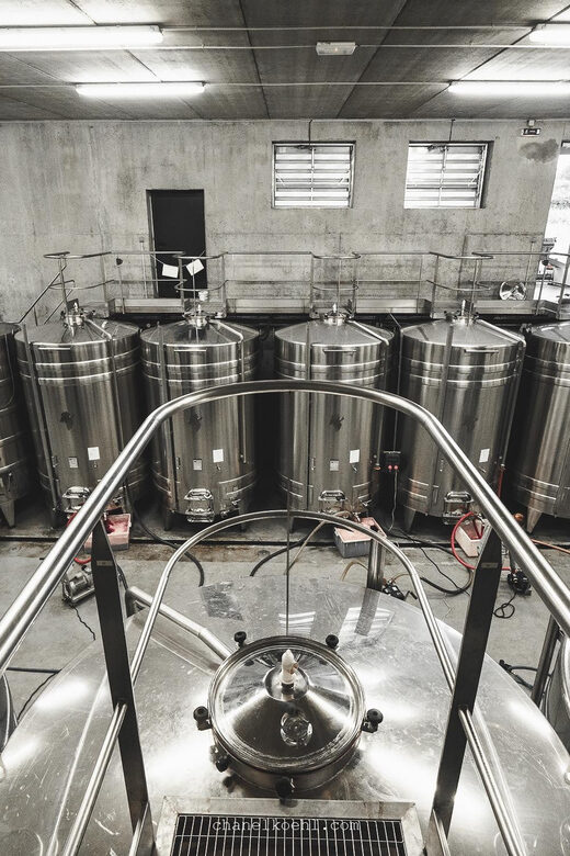 Wine and Cheese experience - What Is the Wine and Cheese Experience All About?