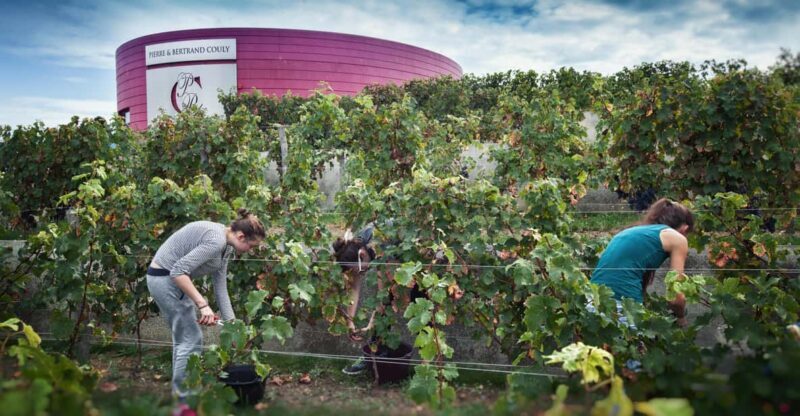 Wine and Cheese experience - Group Size and Interaction